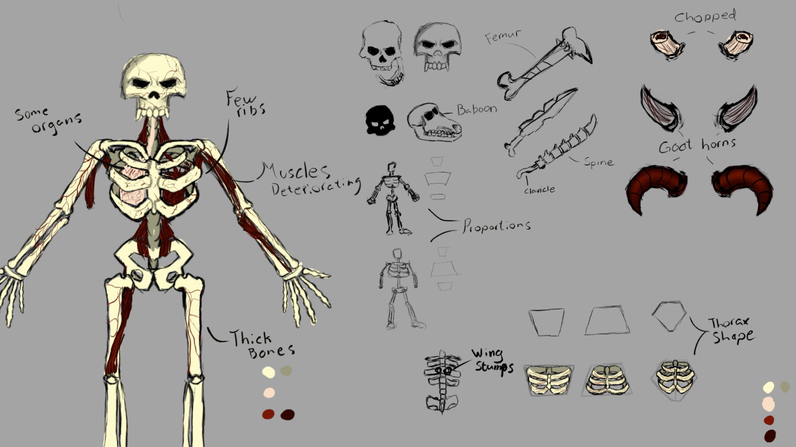 Skeleton Concept